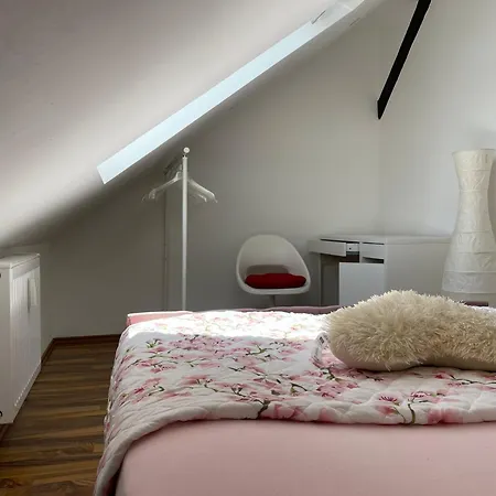 Bequemes Einzelzimmer Im Herzen Von ホームステイ カッセル