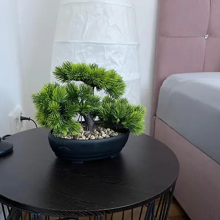 民宿 Bequemes Einzelzimmer Im Herzen Von *