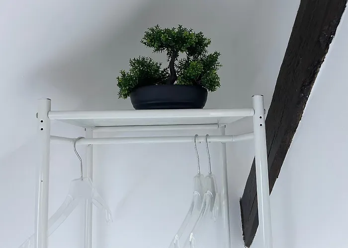 Bequemes Einzelzimmer Im Herzen Von Kassel